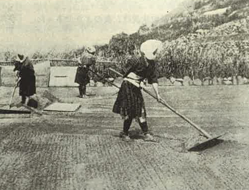 塩と共に140年の歩み